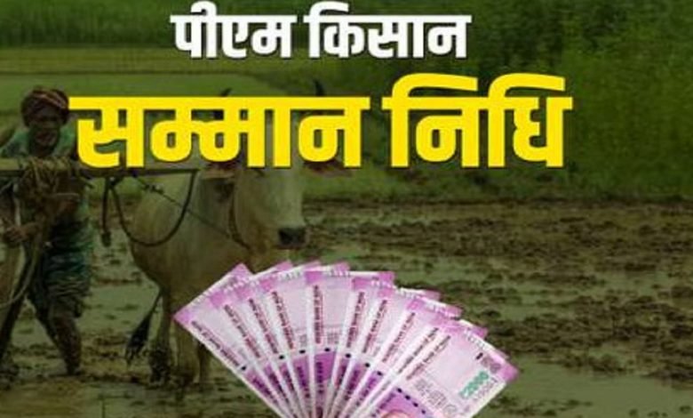 PMKSN UPDATE दशहरे से पहले किसानो को मिली बड़ी सौगात, इस दिन जारी हो सकती 15 वीं किस्त जाने डिटेल्स 1 PMKSN UPDATE दशहरे से पहले किसानो को मिली बड़ी सौगात, इस दिन जारी हो सकती 15 वीं किस्त जाने डिटेल्स
