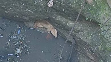 WhatsApp Image 2023 10 27 at 1.48.47 PM