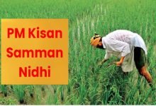 PM Kisan Samman Nidhi खुशखबरी! दिवाली से पहले करोड़ों किसानों को मिल रहा गिफ्ट, सरकार ने 15 वीं किस्त पर दे दिया बड़ा अपडेट