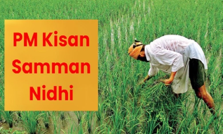 PM Kisan Samman Nidhi खुशखबरी! दिवाली से पहले करोड़ों किसानों को मिल रहा गिफ्ट, सरकार ने 15 वीं किस्त पर दे दिया बड़ा अपडेट 1 PM Kisan Samman Nidhi खुशखबरी! दिवाली से पहले करोड़ों किसानों को मिल रहा गिफ्ट, सरकार ने 15 वीं किस्त पर दे दिया बड़ा अपडेट