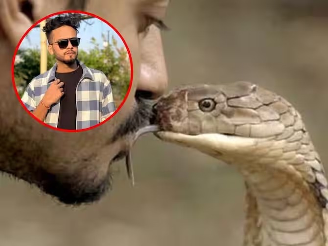 592433a9 7b6c 4816 9cfc 328b784115ce