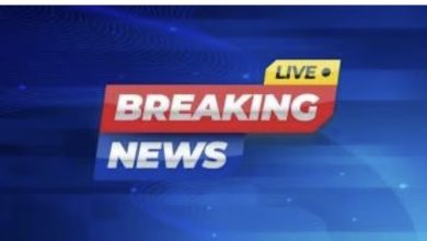 Screenshot 20231122 232921