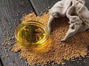 Sarson ke tel ka totka चुपचाप करे सरसो के तेल का चौकाने वाला ये टोटका, बरसेगा पैसा ही पैसा चमक उठेगी तकदीर 3 WhatsApp Image 2023 11 02 at 11.34.34 AM