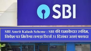  SBI Amrit Kalash Scheme एसबीआई के स्कीम ने मचाया तहलका, निवेश पर मिलेगा बम्फर रिटर्न फटाफट 31 दिसंबर तक उठाएं फायदा