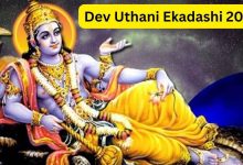 Tulsi Ki Jad Ke Upay देवउठनी एकादशी पर ऐसे बांध दे तुलसी की जड़, 24 घंटे में बदल जाएगी किस्मत 8 Tulsi Ki Jad Ke Upay देवउठनी एकादशी पर ऐसे बांध दे तुलसी की जड़, 24 घंटे में बदल जाएगी किस्मत