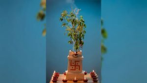 Tulsi Ki Jad Ke Upay देवउठनी एकादशी पर ऐसे बांध दे तुलसी की जड़, 24 घंटे में बदल जाएगी किस्मत 3 WhatsApp Image 2023 11 23 at 12.40.39 PM