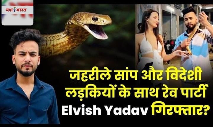 b4b8bb51 4c78 4527 99b0 caf4a7ad55cd