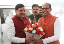 00d859b3 0827 49f5 be61 760736bea058