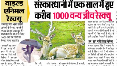 2129e136 5a19 451e b843 e13b375fae66