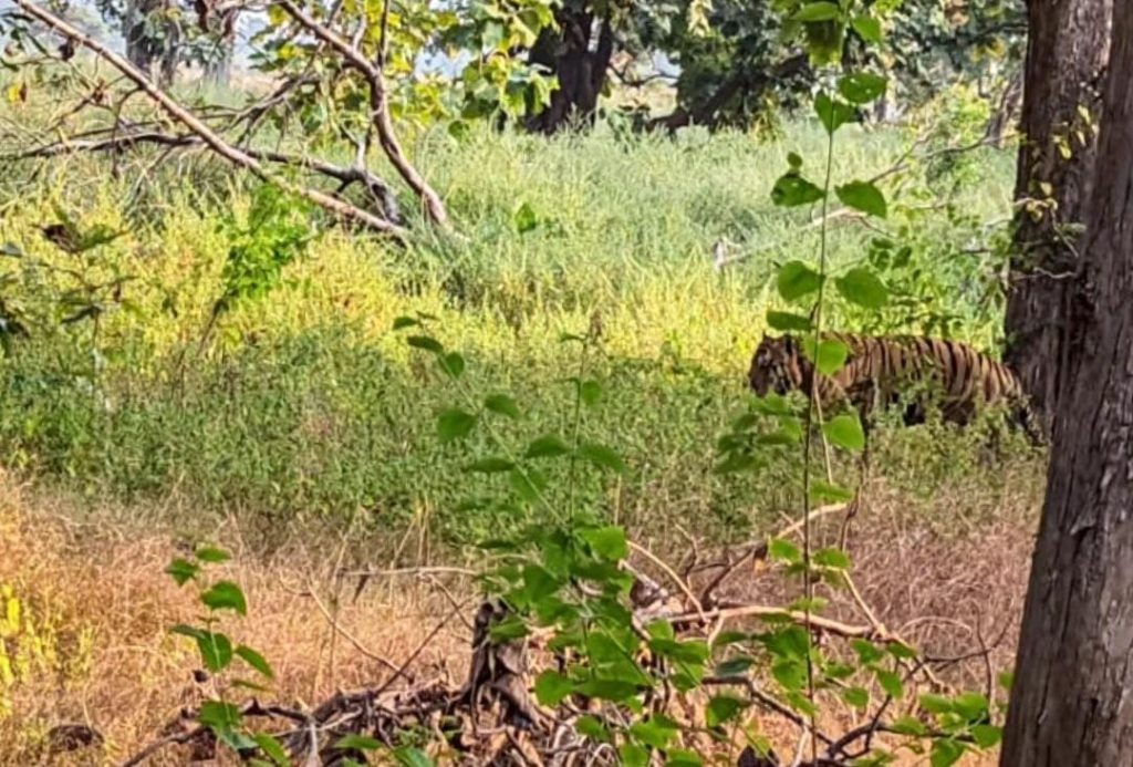 52f04c58 0493 4604 b3a1 8275bad1f3b8