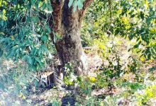 9544a6c7 788b 43f8 bd30 89a904fdd8bd