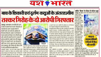 बाघ के शिकारी एवं दुर्लभ कछुओं के अंतरराज्यीय तस्कर गिरोह के दो आरोपी गिरफ्तार 7 99984307 f19c 4a57 b116 9cf4b49681fe