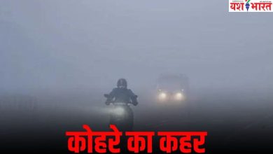 उत्तर भारत में कोहरे का कहर, कम विजिबलिटी के चलते 25 ट्रेनें लेट, फ्लाइट भी प्रभावित 11 Add a heading 26 1