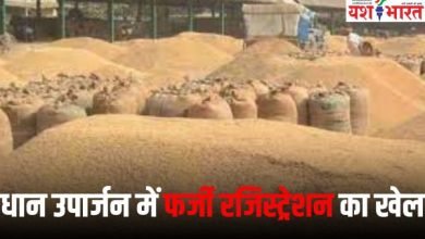 जबलपुर में धान उपार्जन के फर्जी पंजीयन मामले में यश भारत का बड़ा खुलासा 10 Add a heading 4 8