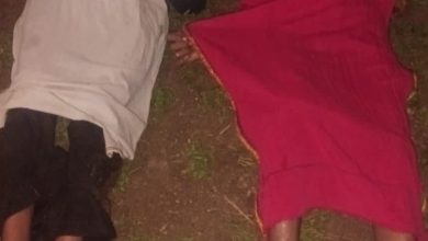 Screenshot 2023 12 05 19 10 45 857 com.whatsapp