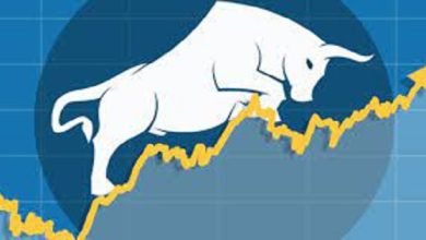 Multibagger Stocks शेयर हो तो ऐसा! निवेशकों को दिया 44,000% रिटर्न, 1 लाख को बना दिया 4 करोड़ पढ़े पूरी खबर