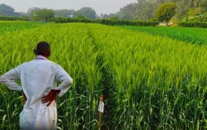 PM Kisan Samman Nidhi Yojna देश में करोड़ों किसानों को मिली अनोखी सौगात, 16वीं किस्त पर आई बड़ी अपडेट देखे पूरी खबर 2 WhatsApp Image 2023 12 25 at 11.03.49 AM