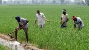PM Kisan Samman Nidhi Yojna देश में करोड़ों किसानों को मिली अनोखी सौगात, 16वीं किस्त पर आई बड़ी अपडेट देखे पूरी खबर 3 WhatsApp Image 2023 12 25 at 11.04.27 AM