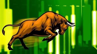 Multibagger Share यह शेयर ने निवेशकों की लगाई लॉटरी! 11 रुपये के शेयर दिया 10 गुना पैसा रिटर्न,जाने कंपनी का कारोबार