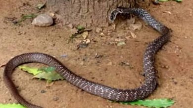 a7db6b17 f6af 488d b56b 7081efe6c8f7