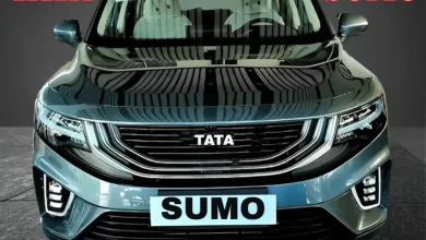 image 247 1 1024x768 1