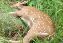 images 2023 12 09T091939.127