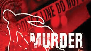 images 2023 12 27T102954.886