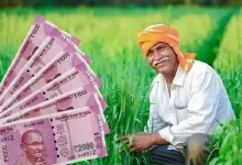 PM Kisan Yojana : किसानो के लिए बड़ी खबर! अब जल्द ही निपटा ले ये काम, नहीं तो रह जाओगे 16वीं किस्त से वंचित 10 1de84008291642c5c38f7cc369de5d56 original