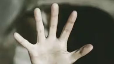 Add a heading 2024 01 26T111051.863