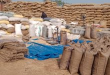 धान खरीदी के अंतिम दौर में 19 तारीख तक होना है क्रय: 55 हजार क्विंटल है लक्ष्य 10 IMG 20240111 WA0004