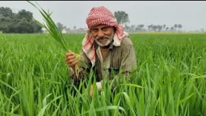 PM Kisan Yojana अब किसानो के खाते में आएंगे 12 हजार! इन किसानों को नहीं मिलेगा किस्त का पैसा, देखे पूरी खबर 3 WhatsApp Image 2024 01 15 at 12.56.20 PM