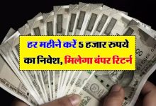 SIP vs PPF मंथली इतने से निवेश में, कुछ ही साल में मिलेगा 25 लाख 22 हजार 880 का रिटर्न जानें कहां बनेगा तगड़ा ब्याज