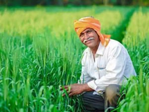 PM KISAN YOJANA ये क़िस्त की रकम होंगी डबल! सालाना मिलेंगे इतने हजार रुपये, देखे पूरी खबर 2 WhatsApp Image 2024 01 20 at 11.18.54 AM1