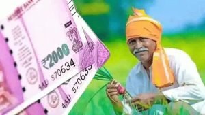 PM KISAN YOJANA ये क़िस्त की रकम होंगी डबल! सालाना मिलेंगे इतने हजार रुपये, देखे पूरी खबर 3 WhatsApp Image 2024 01 20 at 11.19.07 AM1