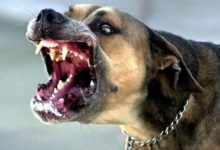 images 2024 01 23T142420.301