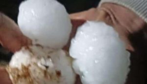 IMG 20240213 WA0002