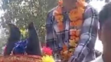 घोड़े पर बैठाकर किया थाना प्रभारी का विदाई समारोह....पढें पूरी खबर 6 IMG 20240217 194026