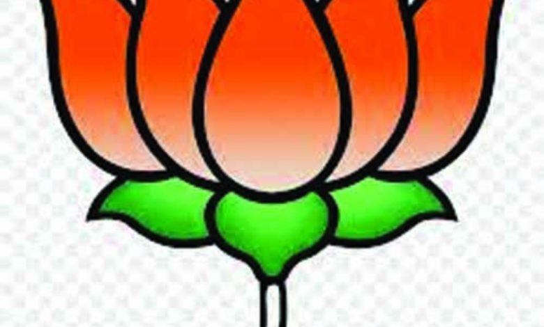 Screenshot 2024 02 02 15 24 22 449 com.whatsapp