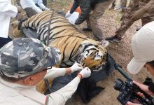 Screenshot 2024 02 15 17 14 50 969 com.whatsapp