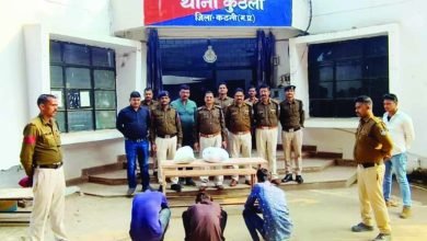 11 Screenshot 2024 02 20 14 22 33 744 com.whatsapp