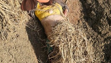 बोरे में बंद मिली महिला की लाश : गुलवारा ब्रिज के पास सडक़ किनारे लाश मिलने से सनसनी 6 Screenshot 2024 02 23 14 29 14 492 com.whatsapp