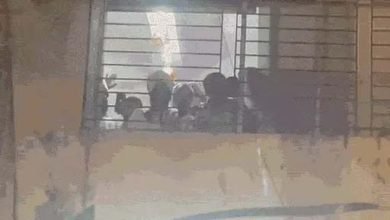 गुजरात में हेट स्पीच देने वाला धर्मगुरु मुंबई से गिरफ्तार:समर्थकों ने थाना घेरा, पुलिस ने लाठीचार्ज किया; हिन्दू संगठनों की शिकायत पर कार्रवाई 8 Untitled 1 copy 3