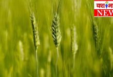 Untitled design 10 1