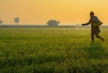 PM Kisan Scheme किसानों को मिल रहा तोहफा! 9 हजार रुपये होगा पीएम किसान स्कीम का पैसा, जाने किसे मिलेगा फायदा