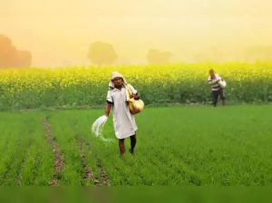 WhatsApp Image 2024 02 09 at 11.22.08 AM1