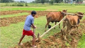 PM Kisan Yojana 12 करोड़ किसानों की लगी लॉटरी! किस्त में हुआ बम्फर इजाफा, 16वीं किस्त का कर रहे इंतजार 2 WhatsApp Image 2024 02 10 at 11.54.28 AM1