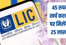 LIC का वादा! सिर्फ 45 रुपये पर मिलेगा 25 लाख फंड, जीवन के साथ भी जीवन के बाद भी देखे पूरी खबर