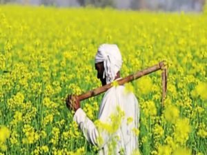 PM Kisan Yojana 11 करोड़ किसानों की चमकी किस्मत! 16वीं किस्त की तारीख जारी, देखे ये पूरी खबर 2 WhatsApp Image 2024 02 12 at 6.22.29 PM1