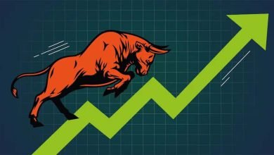 Multibagger Stock 10 रुपये के शेयर ने किया मालामाल! छह महीने में पैसे डबल बन गए 47 लाख,जाने कंपनी का कारोबार