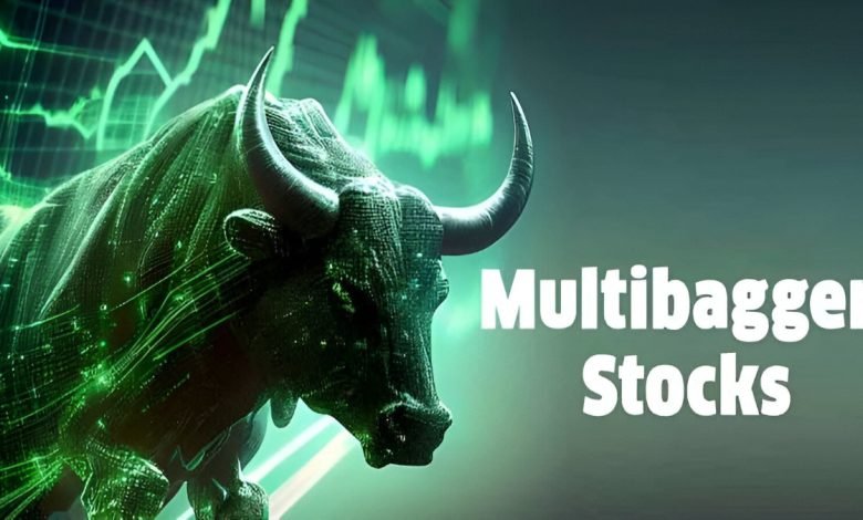 Multibagger Stock मौज कर दी ये शेयर ने! एक झटके में हो गई 40 पर्सेंट कमाई, ये रहा कंपनी का वर्क 1 Multibagger Stock मौज कर दी ये शेयर ने! एक झटके में हो गई 40 पर्सेंट कमाई, ये रहा कंपनी का वर्क